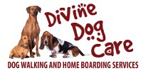 Divine Dog Care